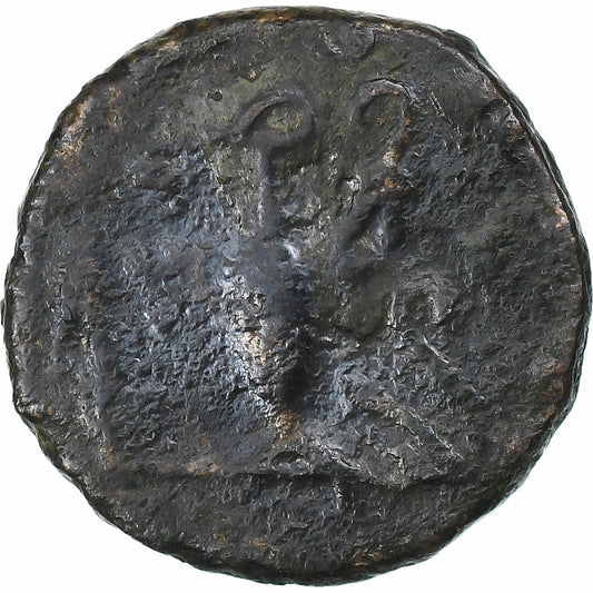 Tetricus II?,
Antoninian,
271-274
