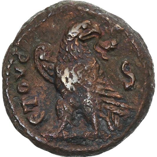 Egipt,
Seweryna,
Tetradrachma