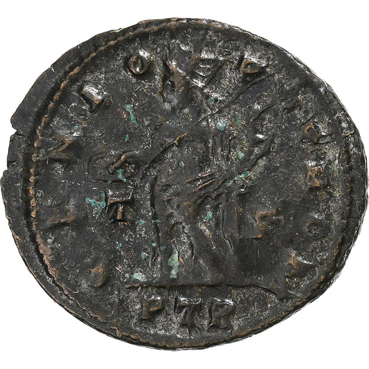 Licyniusz I,
Follis,
310-313