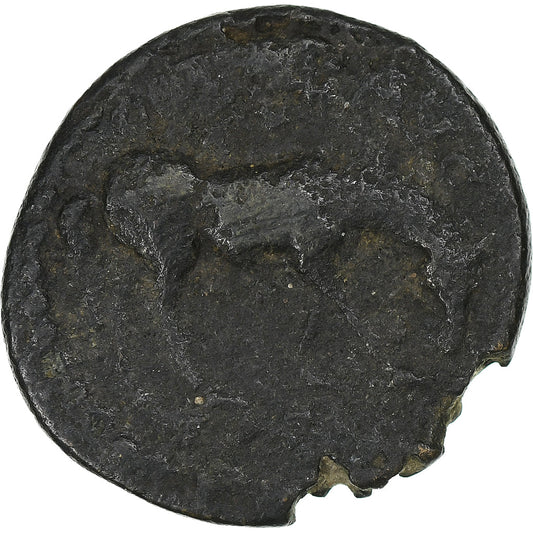 Troasa,
Sewer Aleksander,
Æ