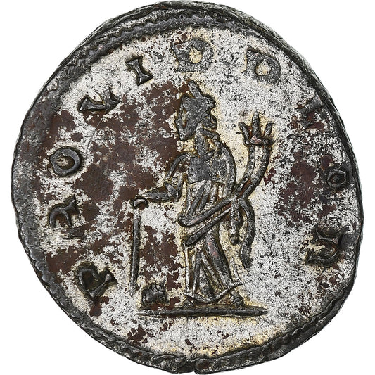 Tacyt,
Antoninian,
275