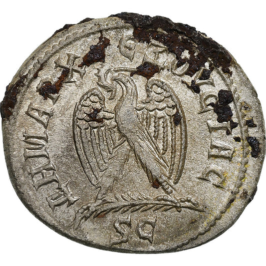 Seleukis i Pieria,
Otacilia Severa,
Tetradrachma