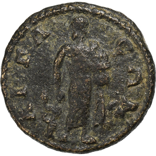 Cylicja,
Septymiusz Sewer,
Æ Jednostka