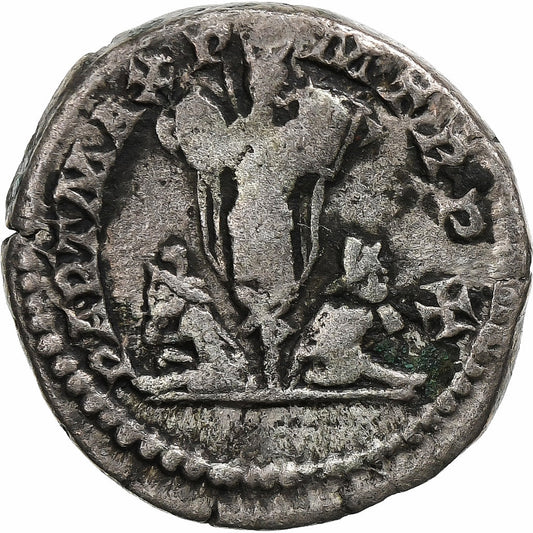 Septymiusz Sewer,
Denar,
202