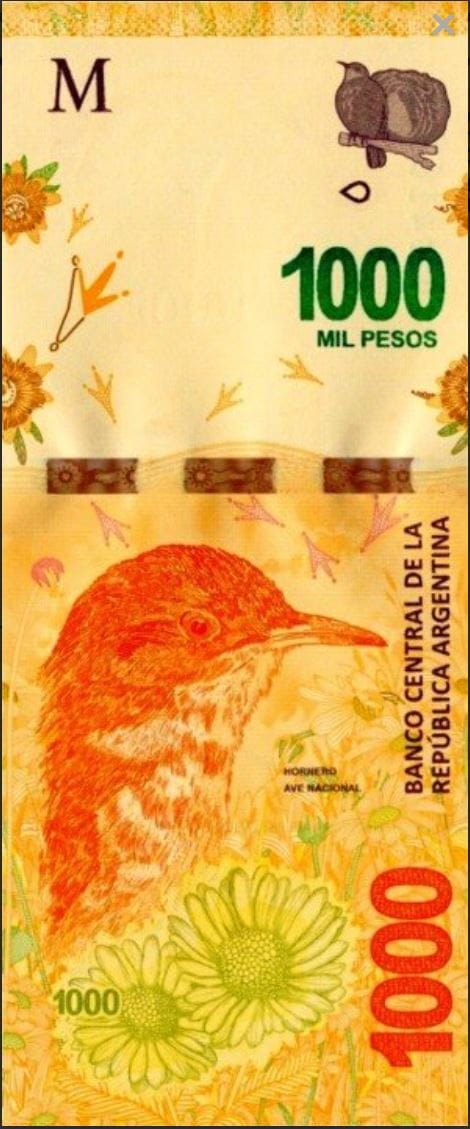 Argentyna 1000 peso Garncarz rdzawy 2019 P-366d