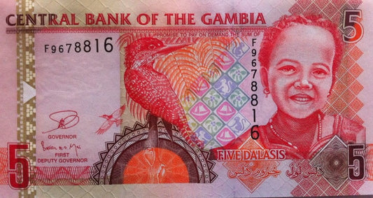 Gambia 5 Dalasi Wypas bydła 2013 P-25c