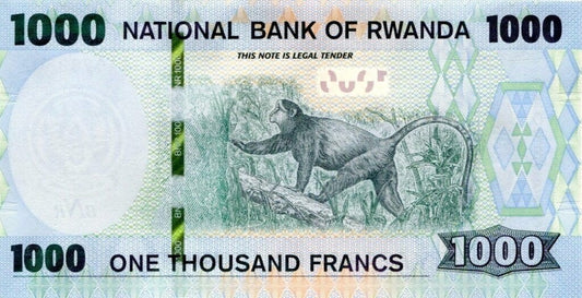 Rwanda 1000 franków Małpa 2019 P-39b