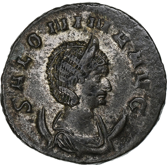 Saloninie, 
  
  Antoninian, 
  
  260-268
