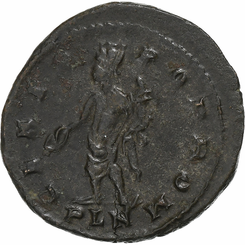 Maksymian, 
  
  Follis, 
  
  307