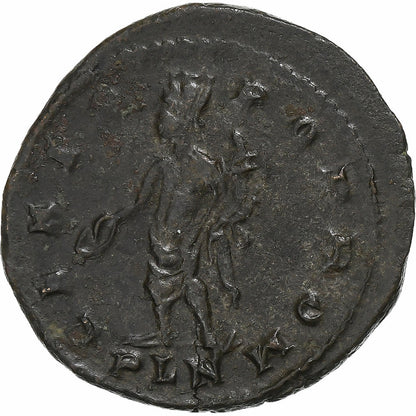 Maksymian, 
  
  Follis, 
  
  307