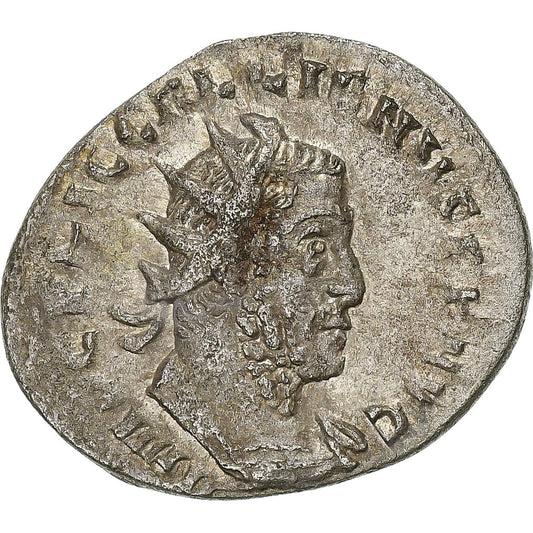 Galienus, 
  
  Antoninian, 
  
  255-256
