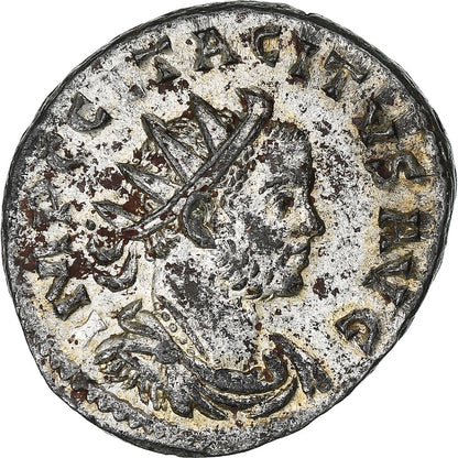 Tacyt, 
  
  Antoninian, 
  
  275