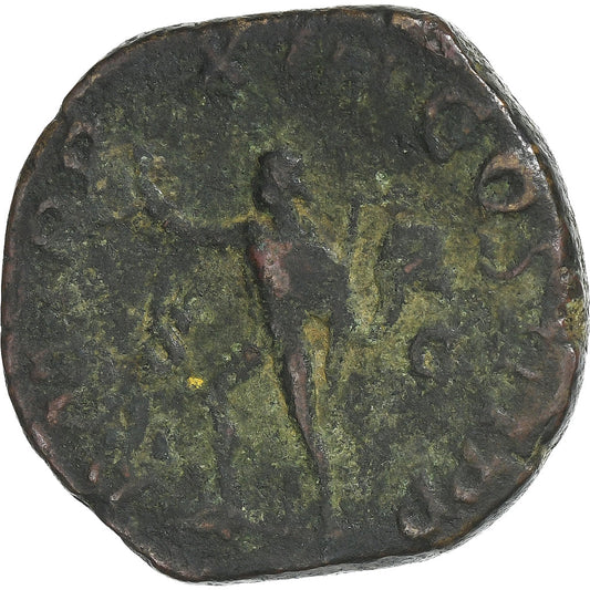 Sewer Aleksander, 
  
  Sestercjusz, 
  
  233