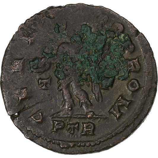 Maksymin II, 
  
  Follis, 
  
  310-313