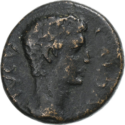 Koryntia, 
  
  Kaligula, 
  
  Æ Jednostka