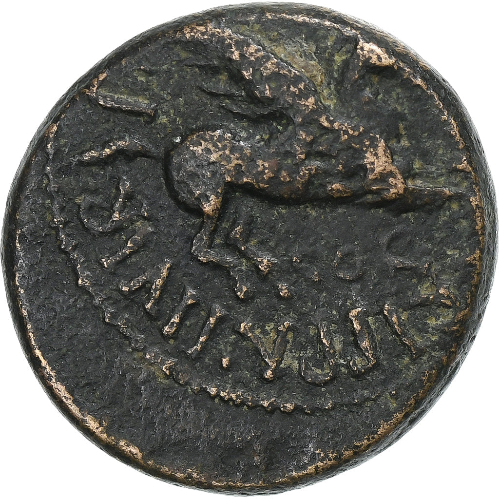 Koryntia, 
  
  Kaligula, 
  
  Æ Jednostka