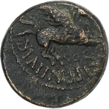 Koryntia, 
  
  Kaligula, 
  
  Æ Jednostka