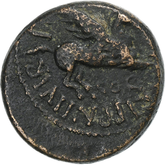 Koryntia, 
  
  Kaligula, 
  
  Æ Jednostka