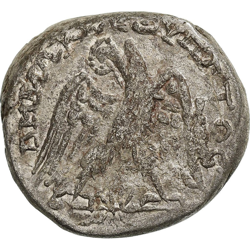 Cyrrhestica, 
  
  Makrynus, 
  
  Tetradrachma