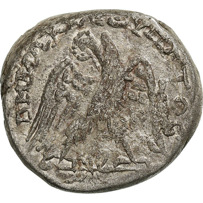 Cyrrhestica, 
  
  Makrynus, 
  
  Tetradrachma