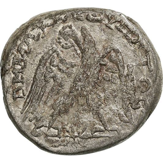 Cyrrhestica, 
  
  Makrynus, 
  
  Tetradrachma