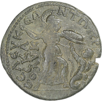 Cylicja, 
  
  Gordian III, 
  
  Æ Jednostka