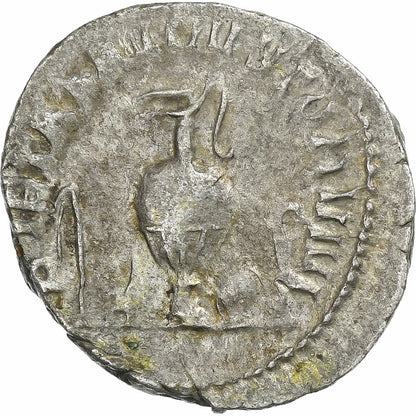 Herenniusz Etruskus, 
  
  Antoninian, 
  
  250-251