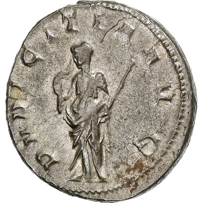 Herennia Etruscilla, 
  
  Antoninian, 
  
  249-251