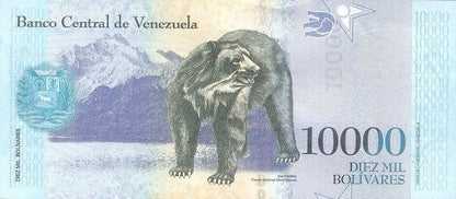 Wenezuela 10 000 Boliwarów Niedźwiedź 2017 P-98b