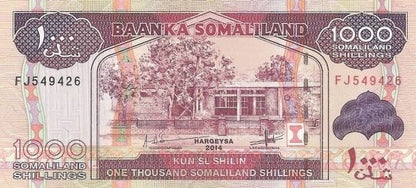 Somaliland 1000 szylingów Kozy 2014 P-20c