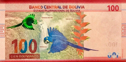 Boliwia 100 bolivanos Papuga Ara 2019 P-251
