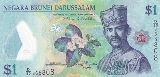 Brunei 1 ringgit Bandar Begawan 2016 P-35c