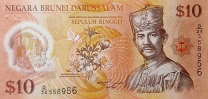 Brunei 10 ringgit Meczet 2013 P-37b