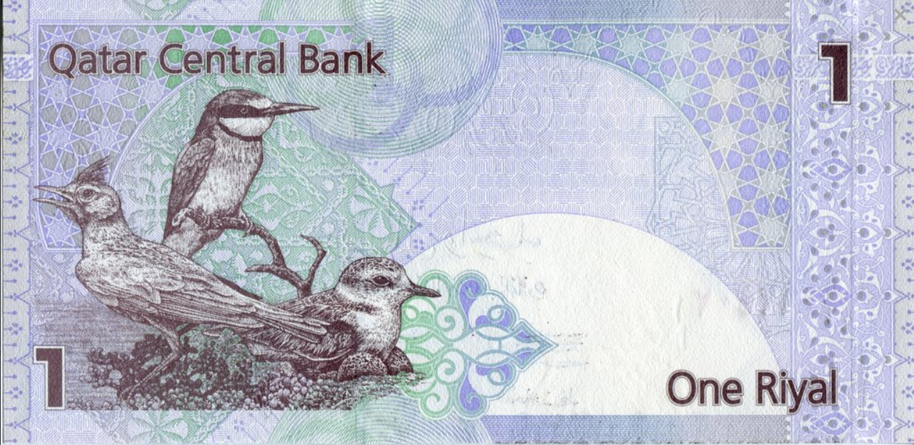 Katar 1 Riyal Ptaki 2017 P-28b
