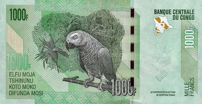 Kongo 1000 franków Papuga/Antylopy 2022 P-101d
