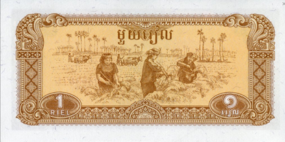 Kambodża 1 riel Kobiety 1979 P-28