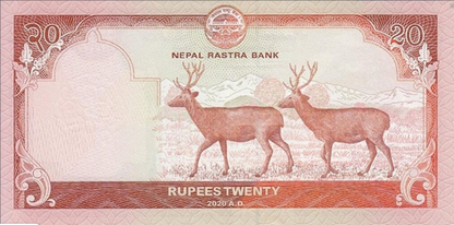 Nepal 20 rupii Sarny 2020 P-78b